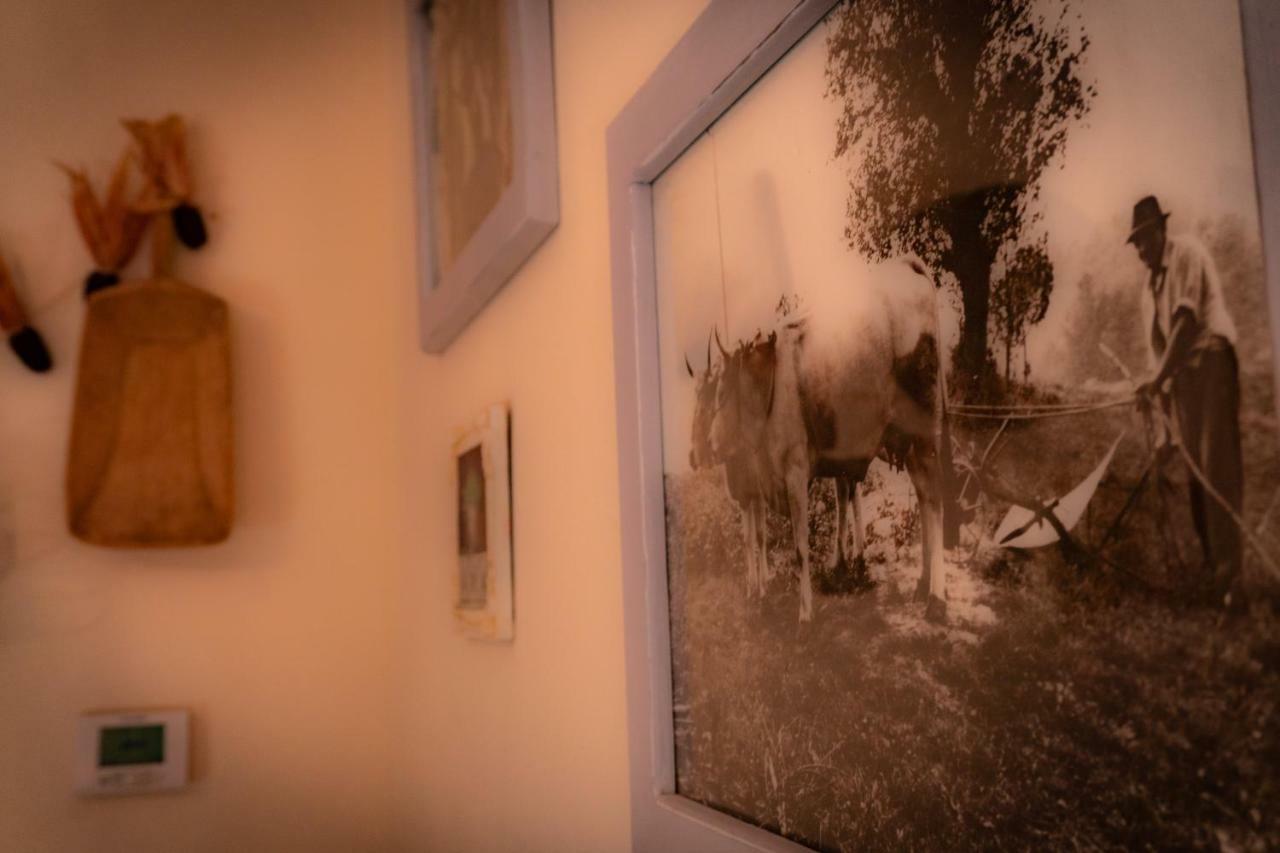 Agriturismo Le Capannacce Urbania Exteriér fotografie